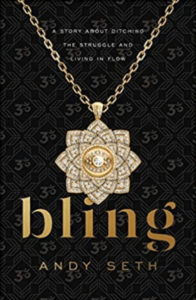 Bling - Dr. Sheryl Ziegler podcast, episode 15 with Andy Seth